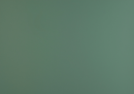 Fenix NTM Bloom 0773 Verde Brac